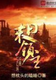 玄尘之魂