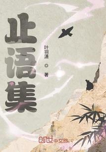 透视之王(合作)
