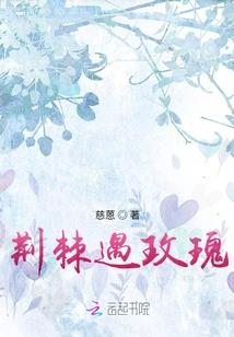这个杀手缺点爱