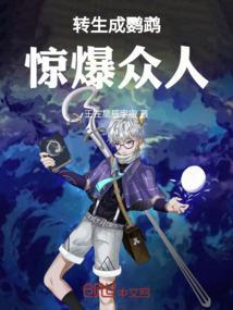 从数码世界开始