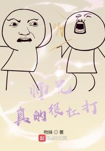 流星街之猫