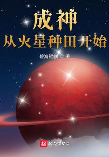 风棋意技