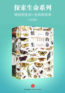 替身王妃不承欢