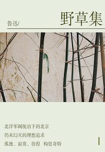 呆萌小兽妃：九皇叔，别乱来