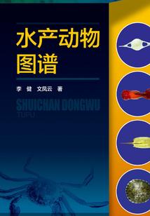 美国流行天王