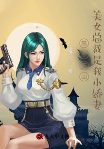 总裁宠溺小妻子