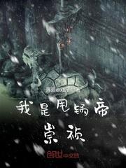 无限之肉盾