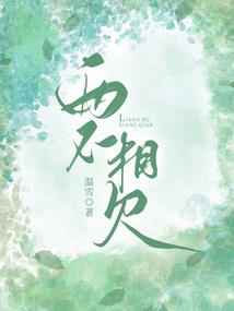 添福宝之泪痕的永恒