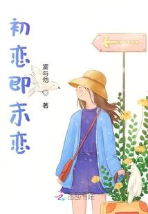 护卫杀手