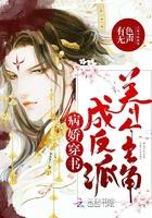 许久后的回音