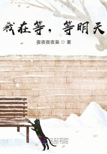 冰山王子休想逃