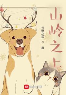 完美的结局
