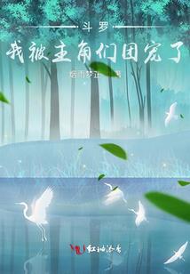 爱恋碰撞