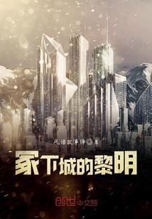 侠影仙鸿
