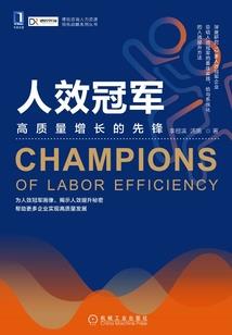 怪丫头的恋爱史