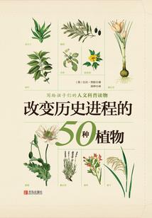 为爱也疯狂