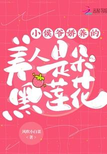 天梦大盗