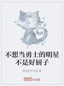 枪武之路