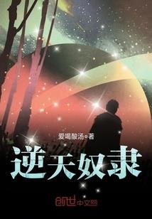 葵花点将录