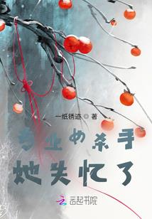 辉曜之界
