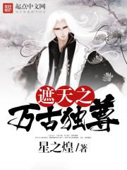 宠物小精灵之神兽小子
