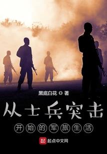 四次风云