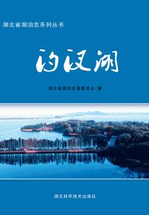 炼炁士