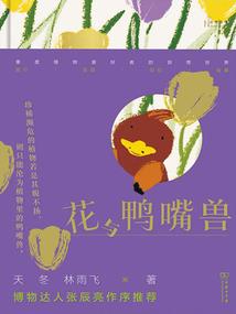 穿越之王爷溺宠妃