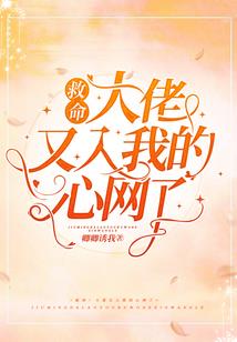 一个网工的修仙幻想