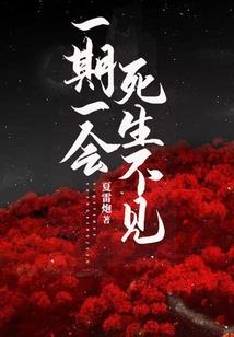 tfboys之最美的流星