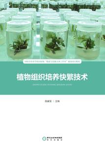青春微凉待你温