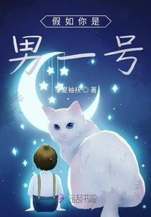 心有锁属之掳获缺心总裁