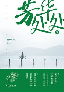 九星成神丹