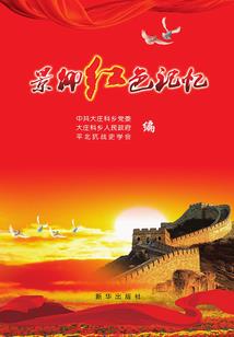 泡沫之夏华灯初上