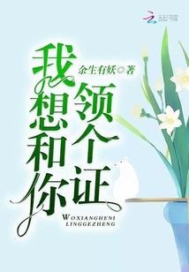 我的美女大明星
