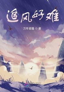江湖全武行