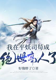 飞将枫神传
