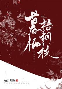 TFBOYS之猫街小巷