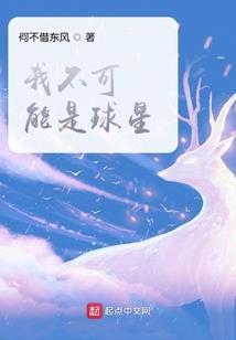 言三小姐穹顶之斗
