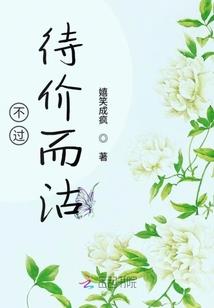 农家有女如男丁