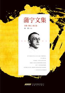 布衣巨星