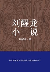 总裁，妻子太难惹