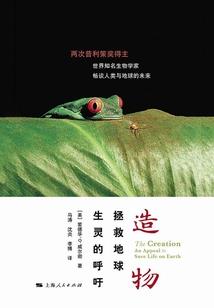 穿越之开局即是王者