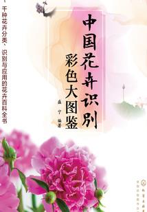 曾几何时月圆时