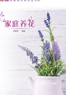 北国风南国雨