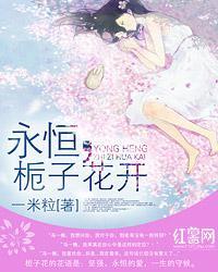 梦幻战士