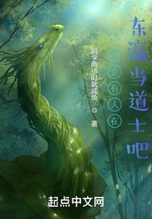神奇宝贝之铠甲英雄