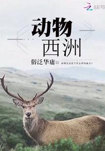 点错天赋修成万道天师