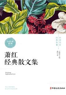 快穿之殿下请留步