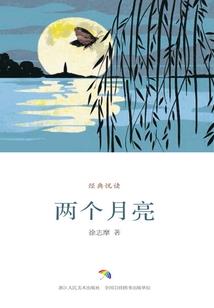 洛天依的爱